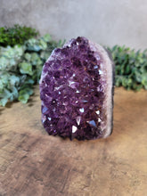 Load image into Gallery viewer, Stunning Amethyst Cluster Cut Base Specimen - Treasures of The Moon